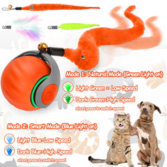 Mity Rain orange cat ball with smart mode indicator demonstrates extended play potential.