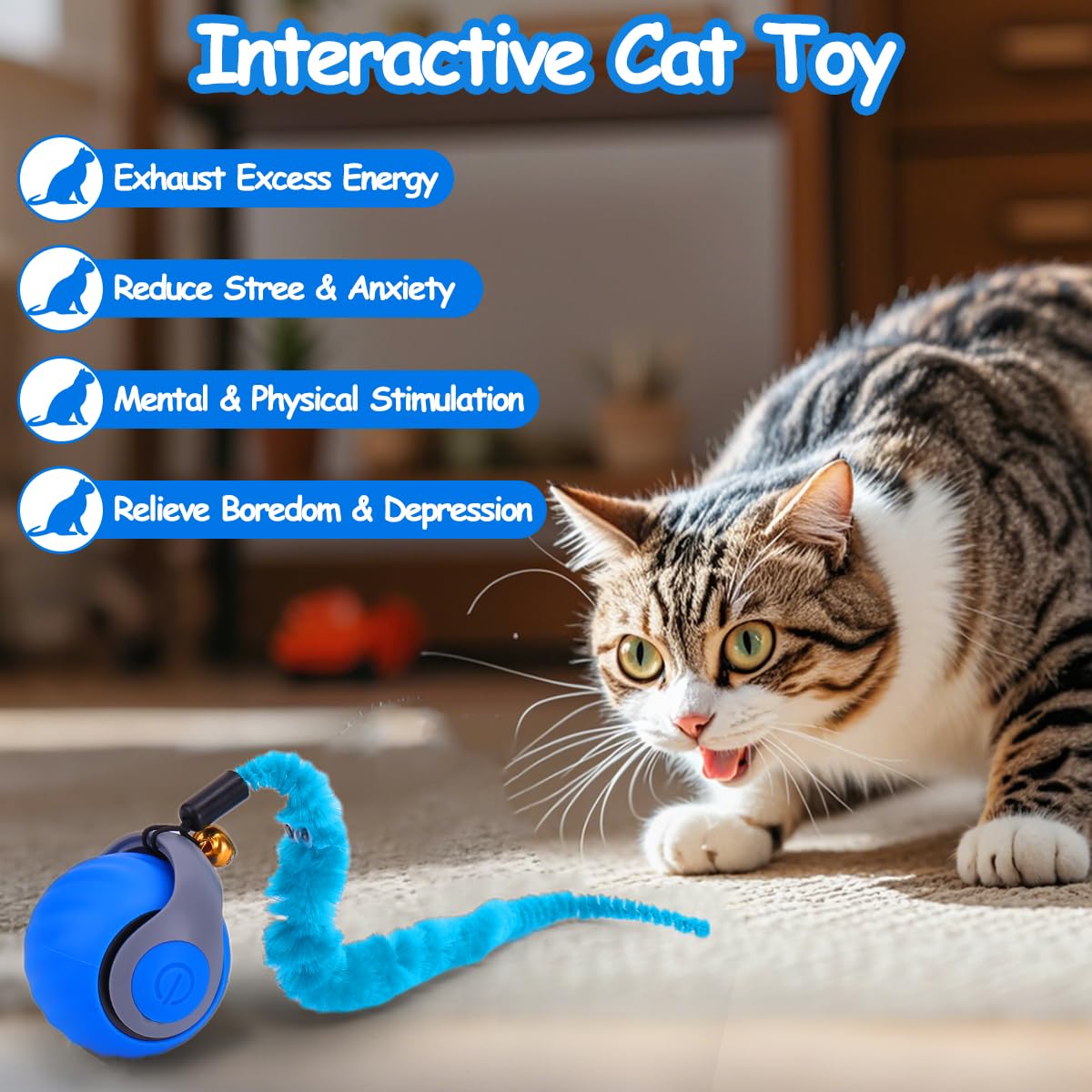 Mity Rain obstacle-avoidance cat ball redirects away from corners during play.