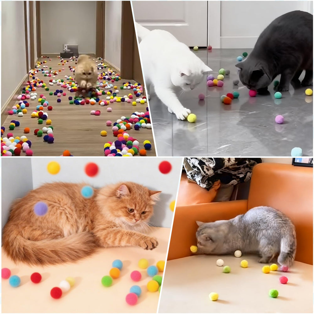 Mity Rain cat toy gift idea for kittens and families.