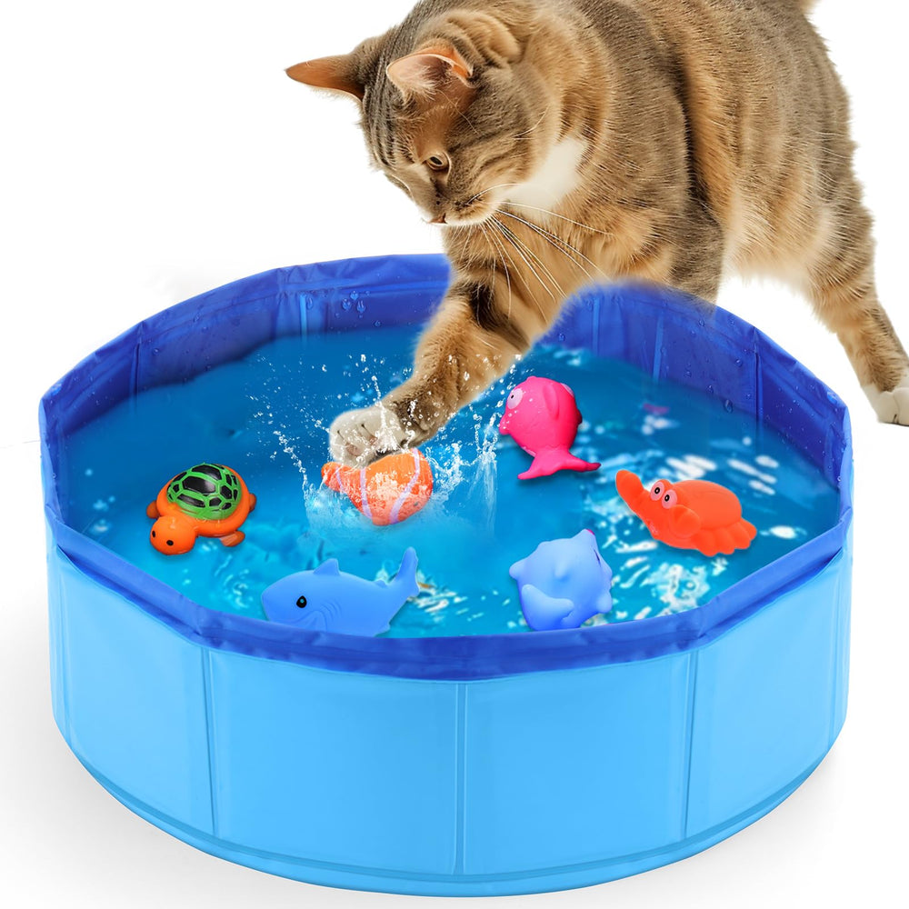 Mity rain Cat Water Toy Pool for indoor cooling and interactive play.
