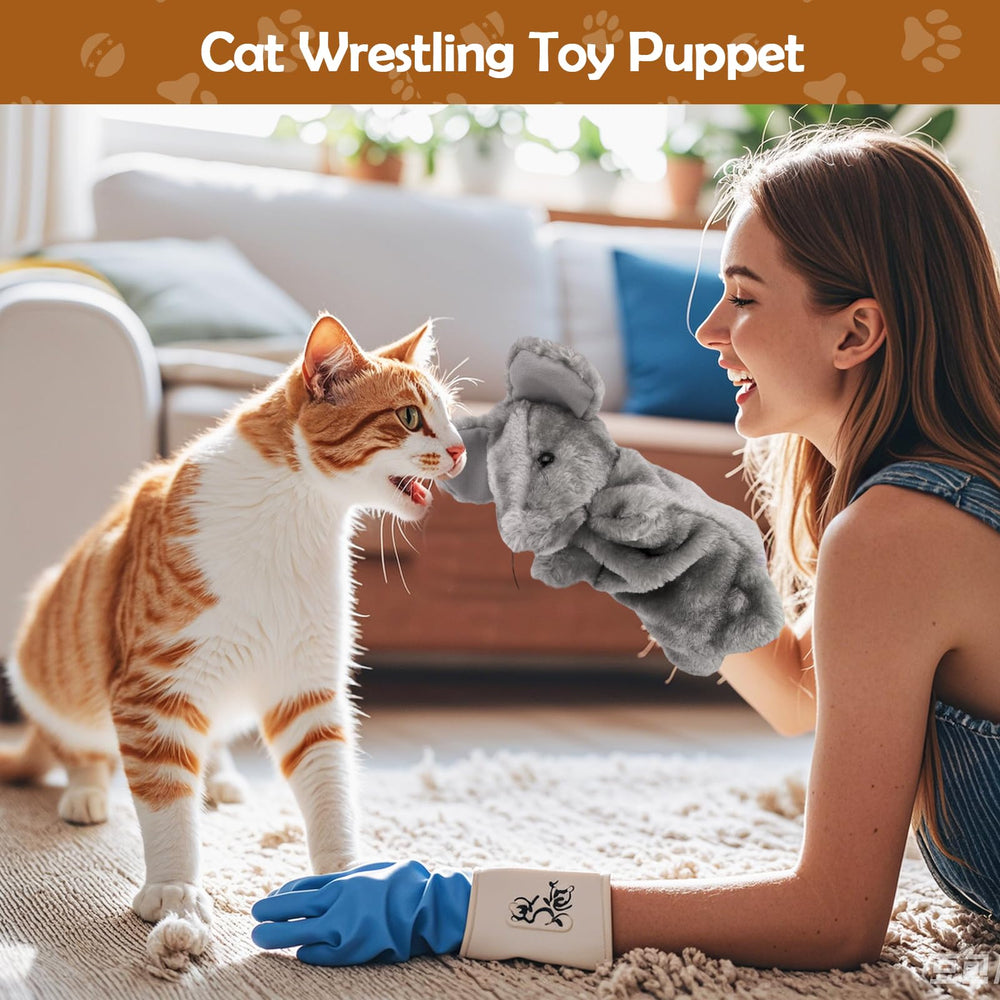 Mity Rain cat wrestling toy puppet in action for active exercise and bonding