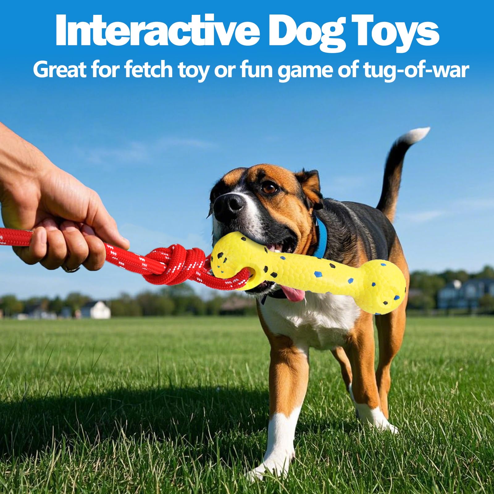 Mity Rain dog toy with visible colors yellow blue aids quick spotting