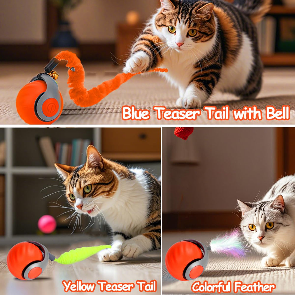 Mity Rain enrichment toy helps mental and physical activity during indoor play.