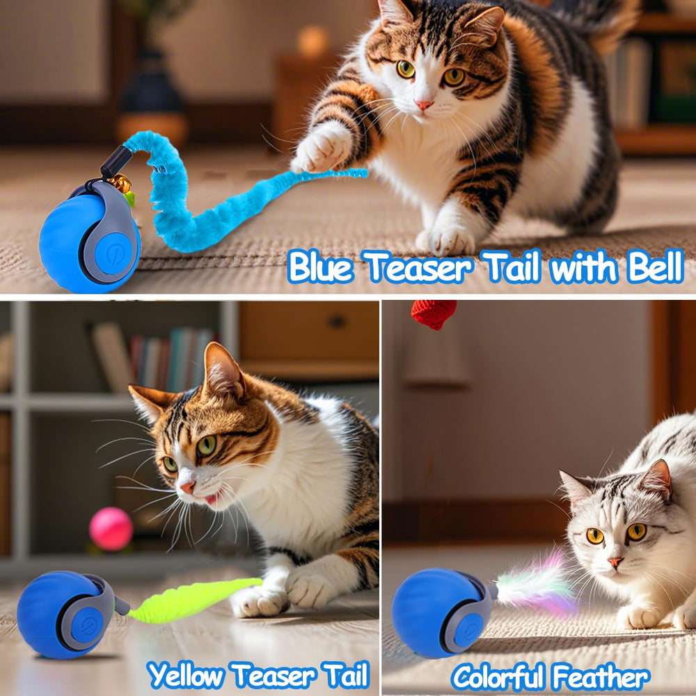Mity Rain interactive cat toy ball rolling action for active movement