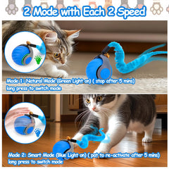 Mity Rain interactive cat toy ball side view encouraging chasing during solo play