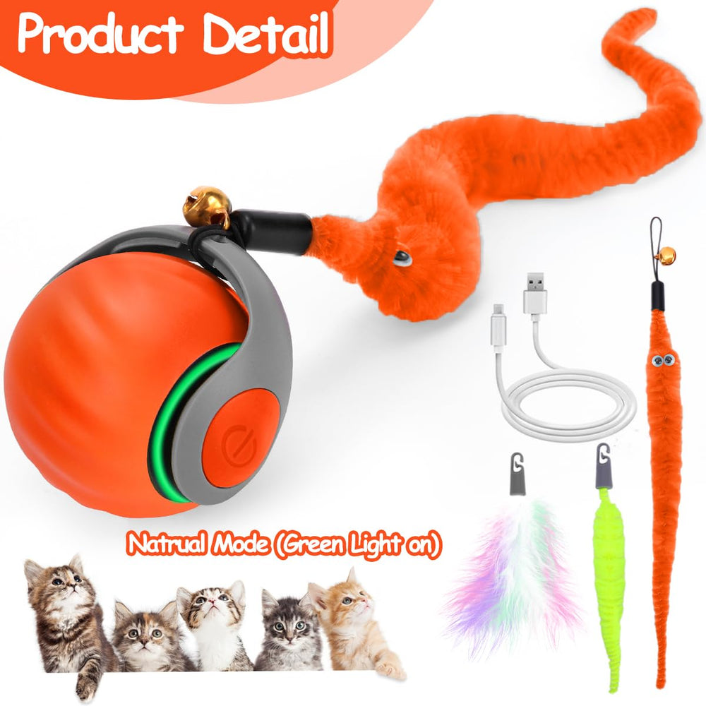 Mity Rain orange ball toy with sensors invites natural chase and paw engagement.