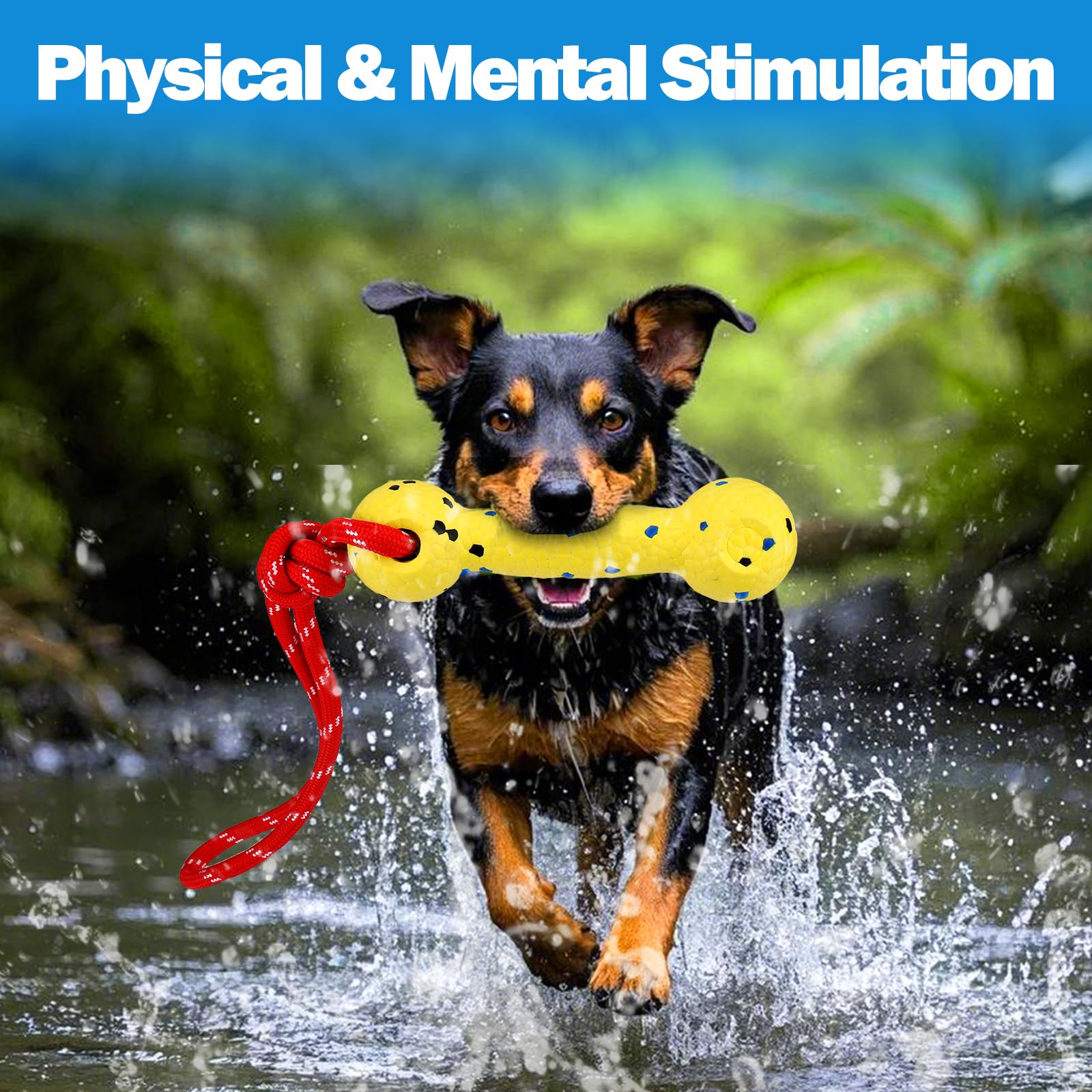 Mity Rain outdoor pool play supports activity and bonding with dogs