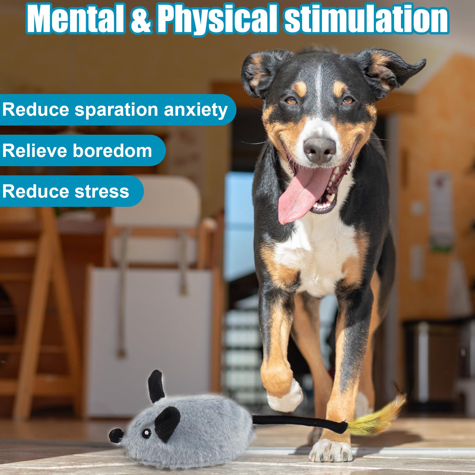 Mity rain packaging gift-ready for holidays or gifting