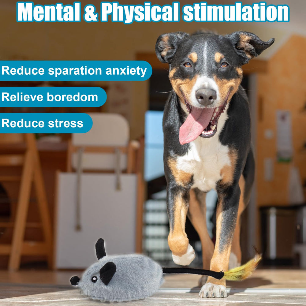 Mity rain packaging gift-ready for holidays or gifting