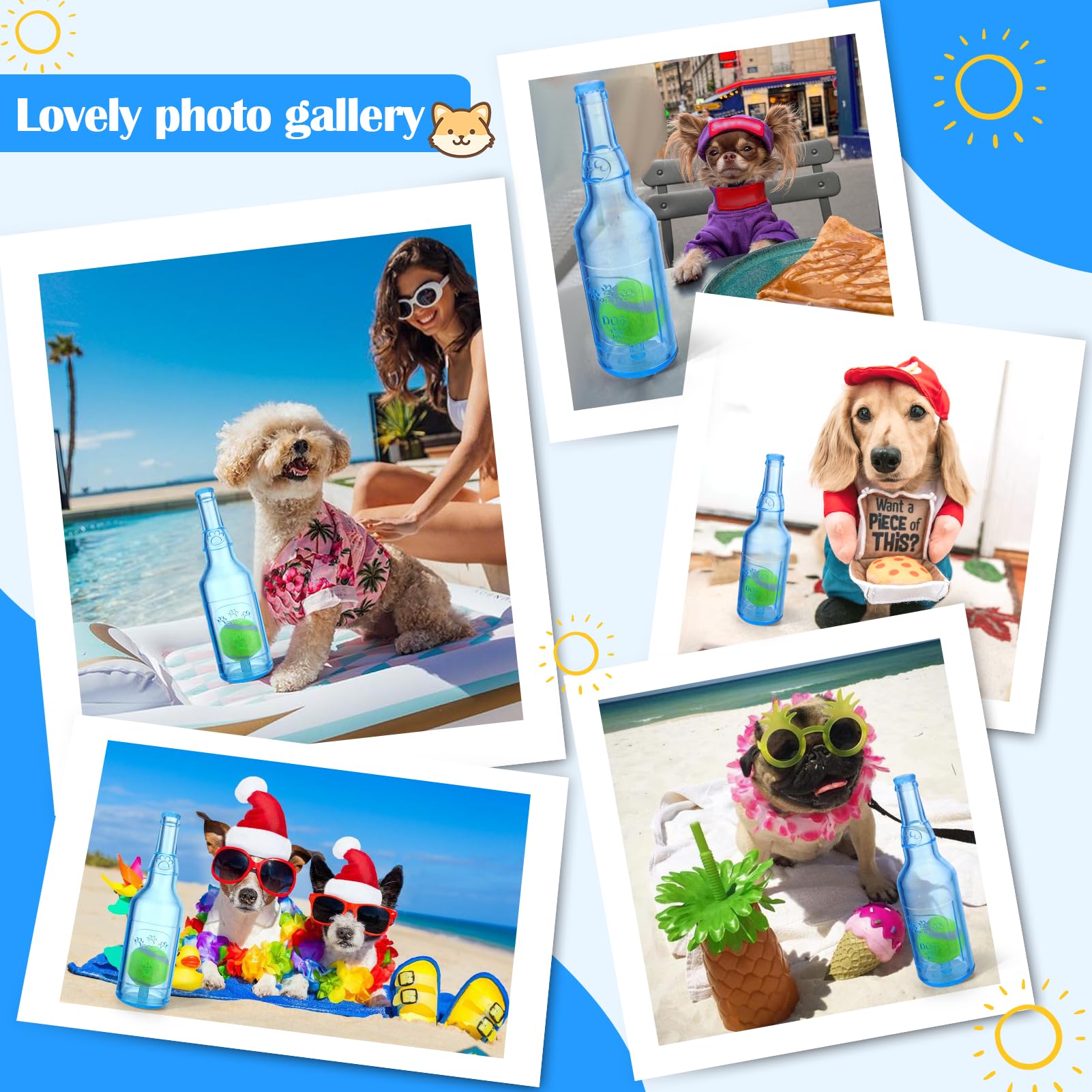 Mity rain water bottle dog toy gift-ready packaging for gifting