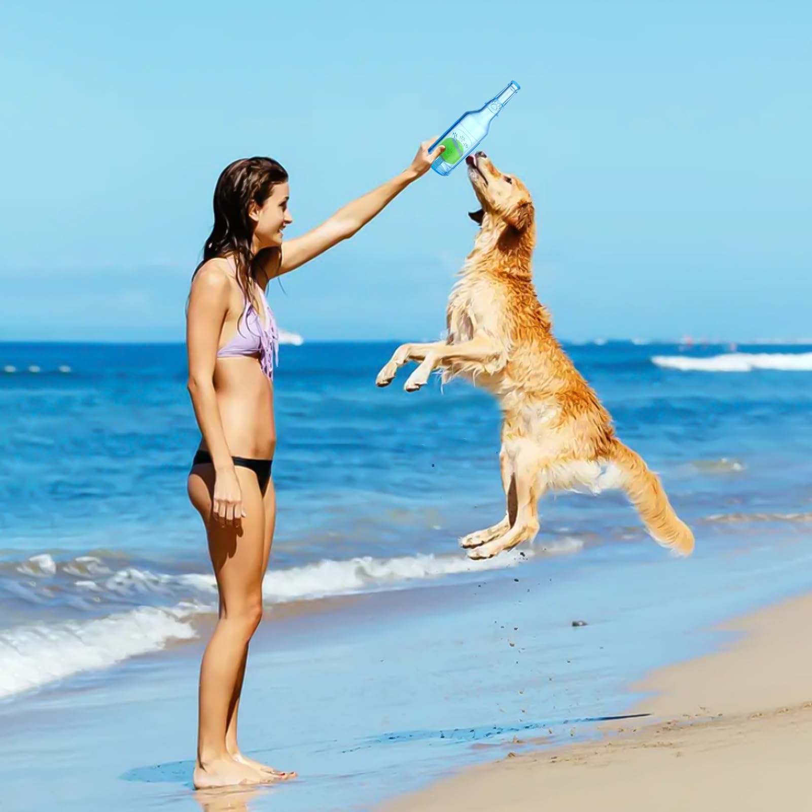 Mity rain water bottle dog toy triple-stimulation design combines look squeak and ball