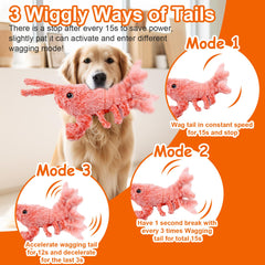 Mity rain Wiggly Lobster in motion enhances dog interaction and energy burn.