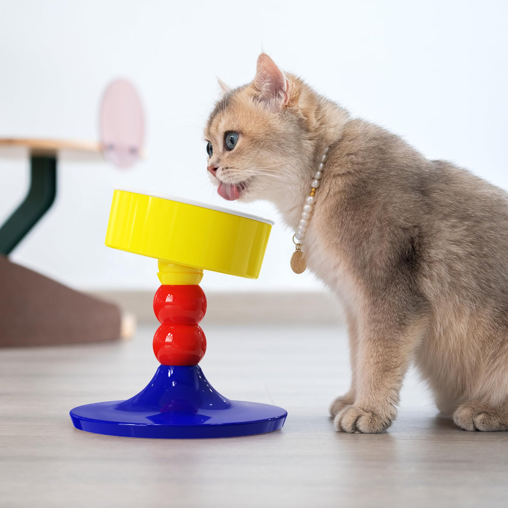 MIU PET cat using elevated bowl for better posture