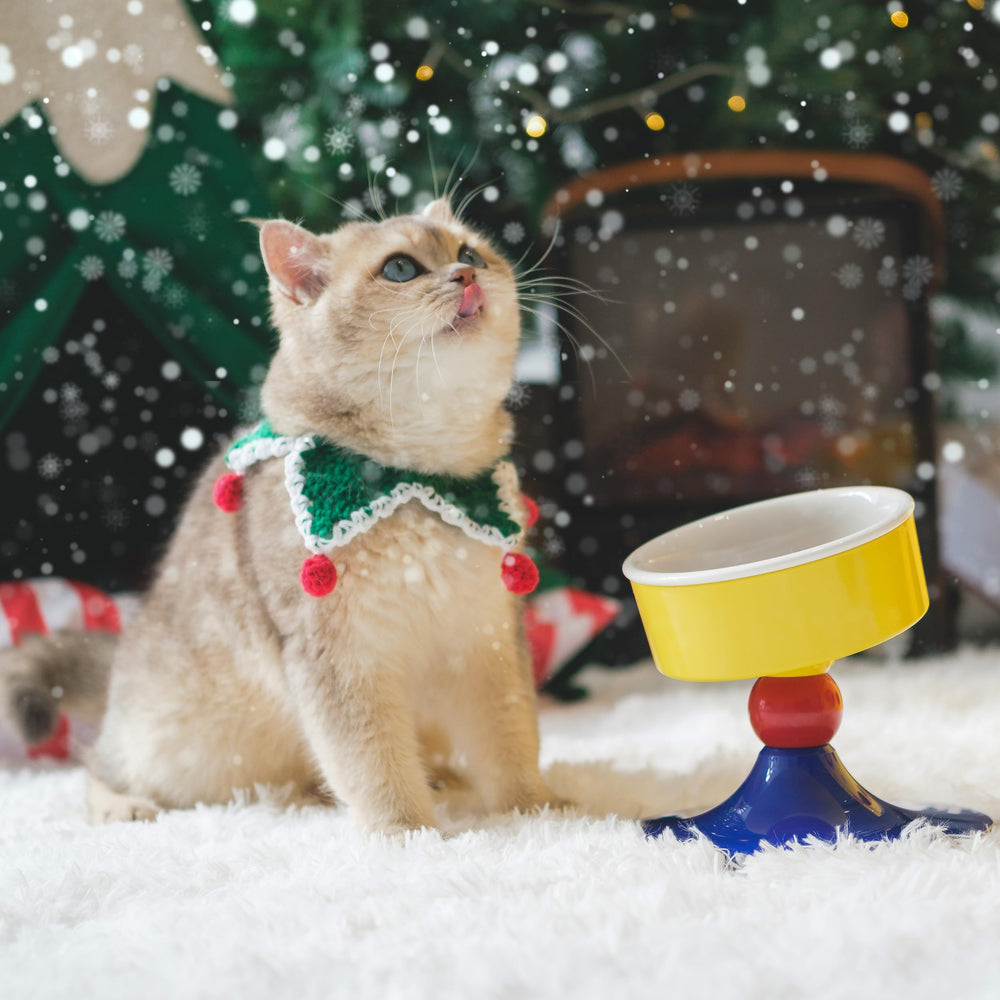 MIU PET easy-clean detachable ceramic bowl for maintenance