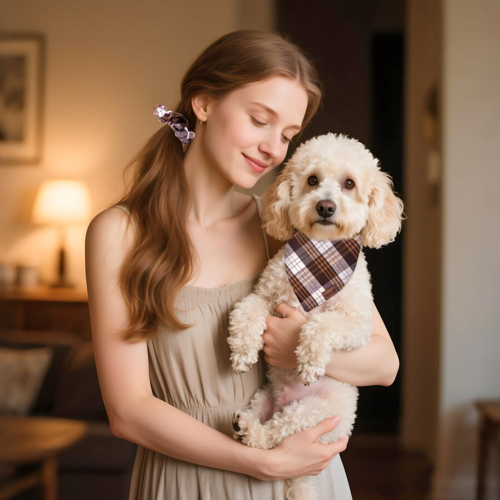 Miucat gift idea for dog lovers—perfect for seasonal gifting.
