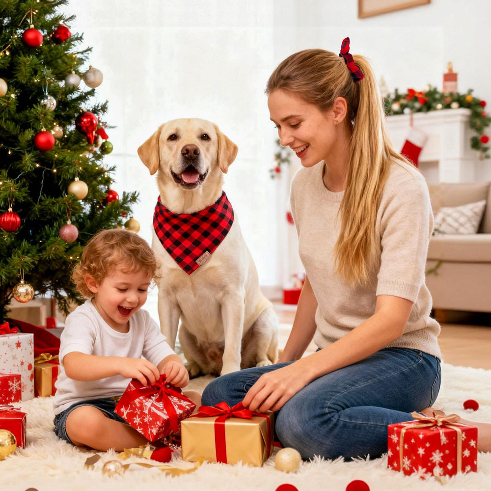 Miucat gift-ready-packaging image emphasizes easy holiday gifting