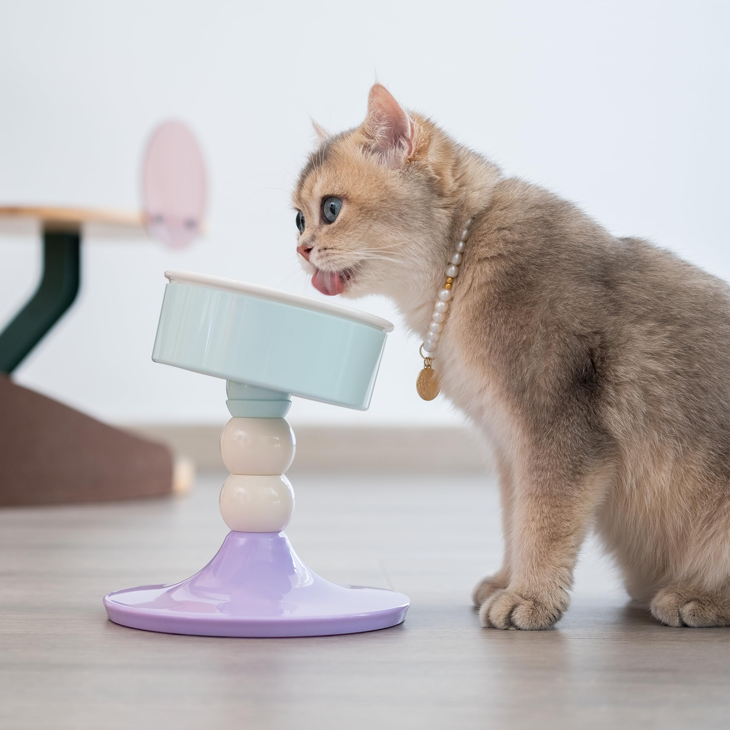 MIU PET ceramic elevated cat bowls easy-assembly design takes minutes