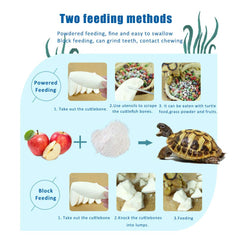 Mivofun cuttlebone in use with a parakeet, supporting calcium needs.