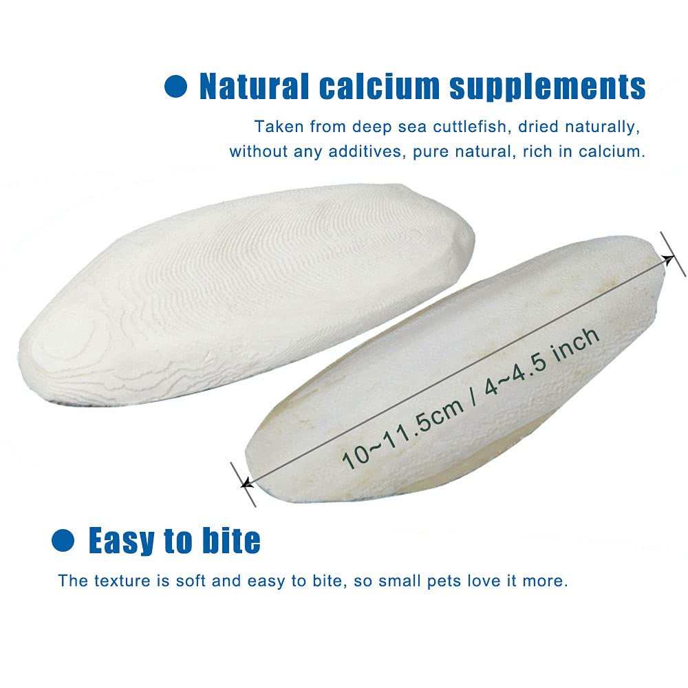Mivofun cuttlebone close-up highlights natural yellow spots for calcium intake.