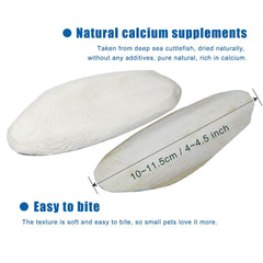 Mivofun cuttlebone close-up highlights natural yellow spots for calcium intake.