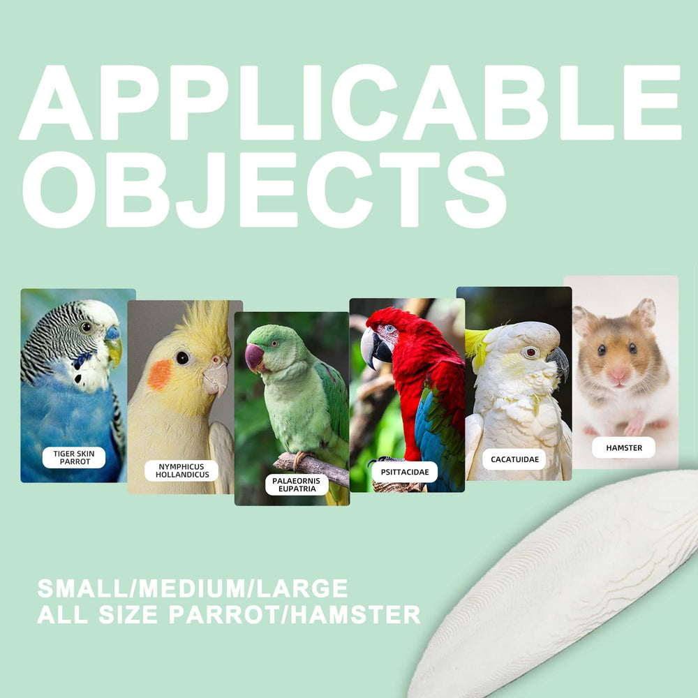 Mivofun foam-packaged cuttlebone ships safely to customers.