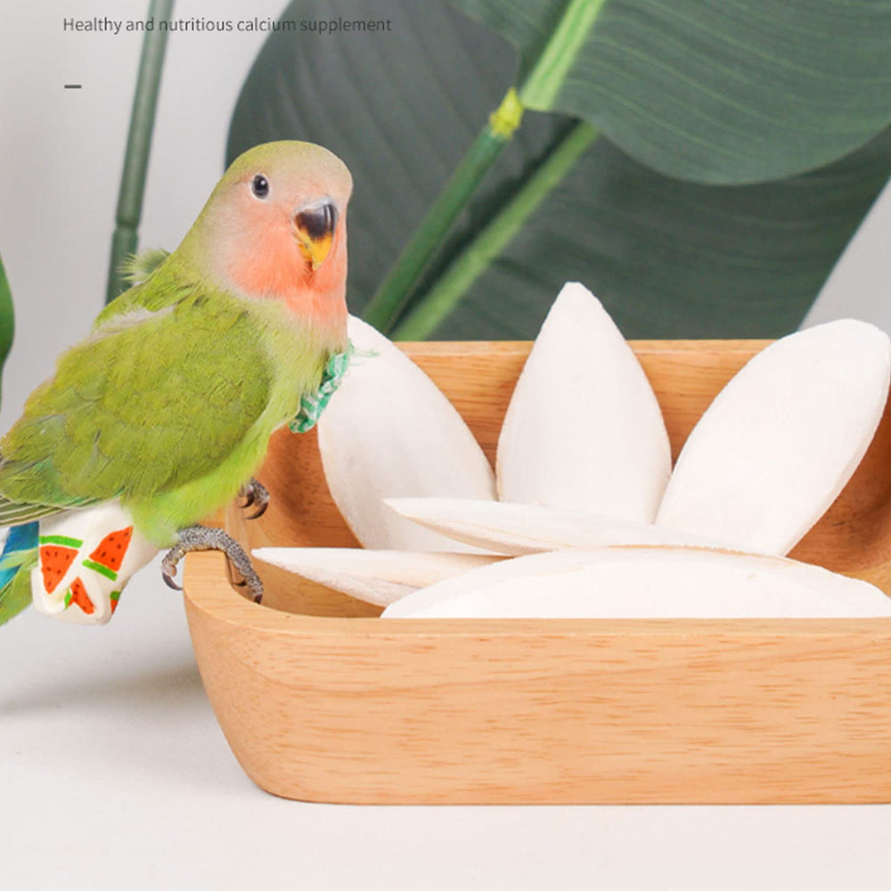 Mivofun cuttlebone provides nibble-friendly pieces for calcium-rich snacking.