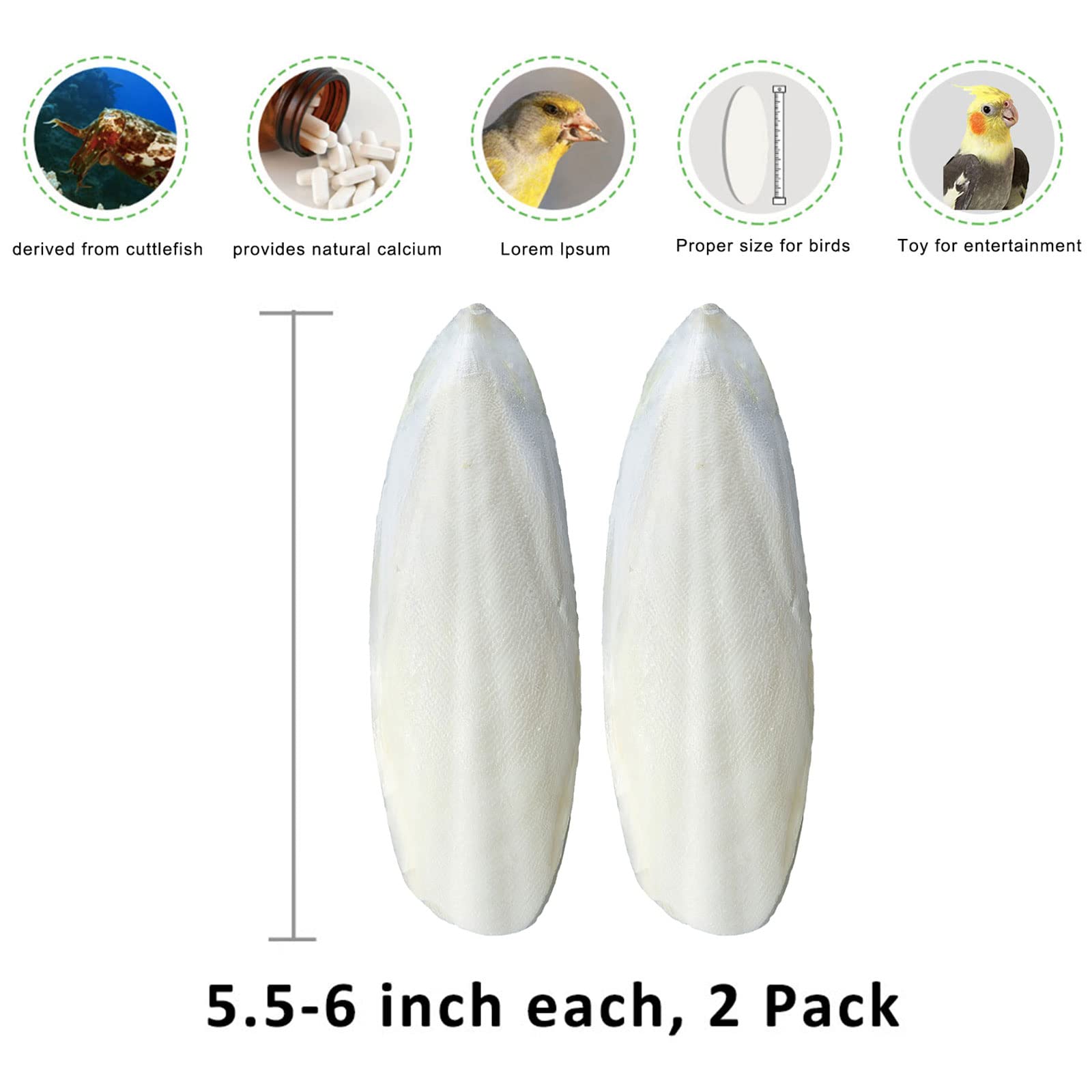 Mivofun 3in1 holder shows compact, clean setup for cuttlebone.