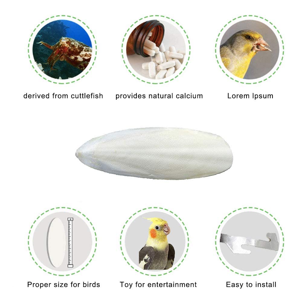 Mivofun cuttlebone used for birds supports beak health and calcium intake.