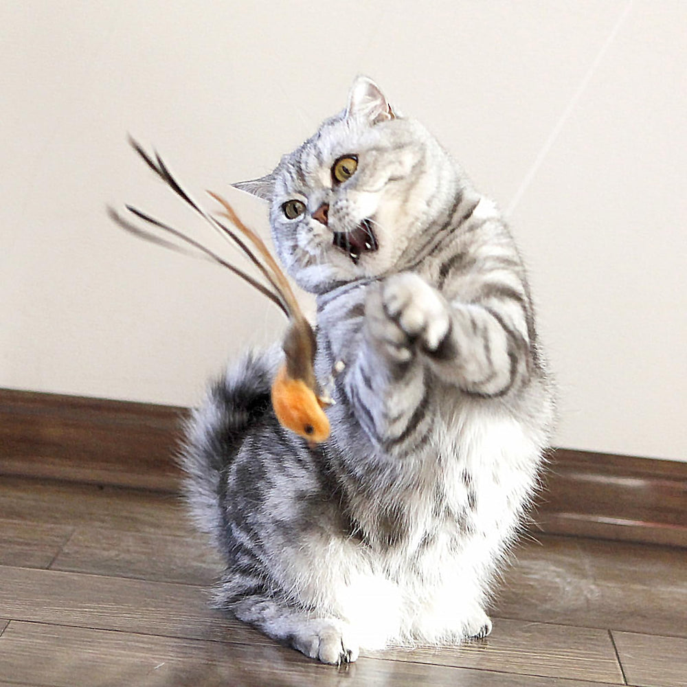 miwoowim plush bird attachment with soft body for realistic prey play