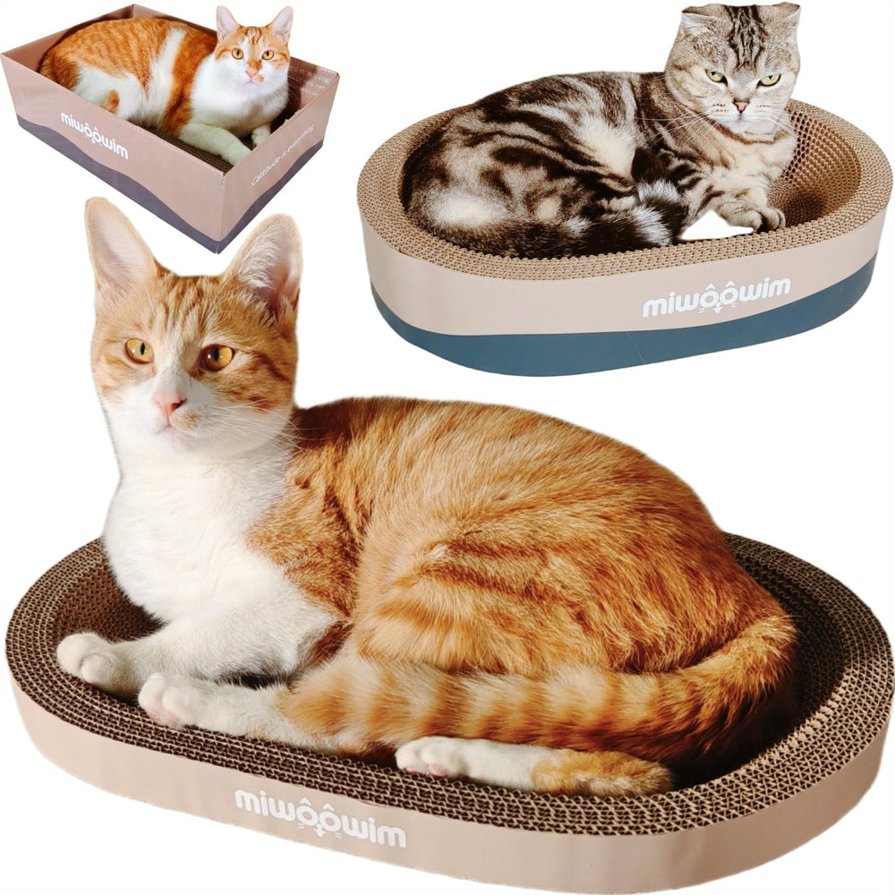 Miwoowim cardboard scratcher box provides interactive play and nesting options.