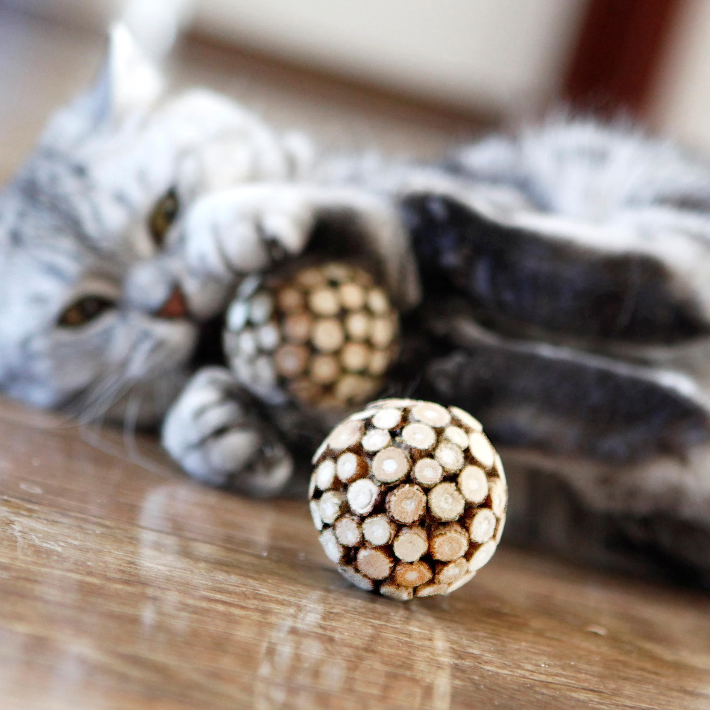 miwoowim cat ball toy featuring silvervine sticks for chewing-friendly surface