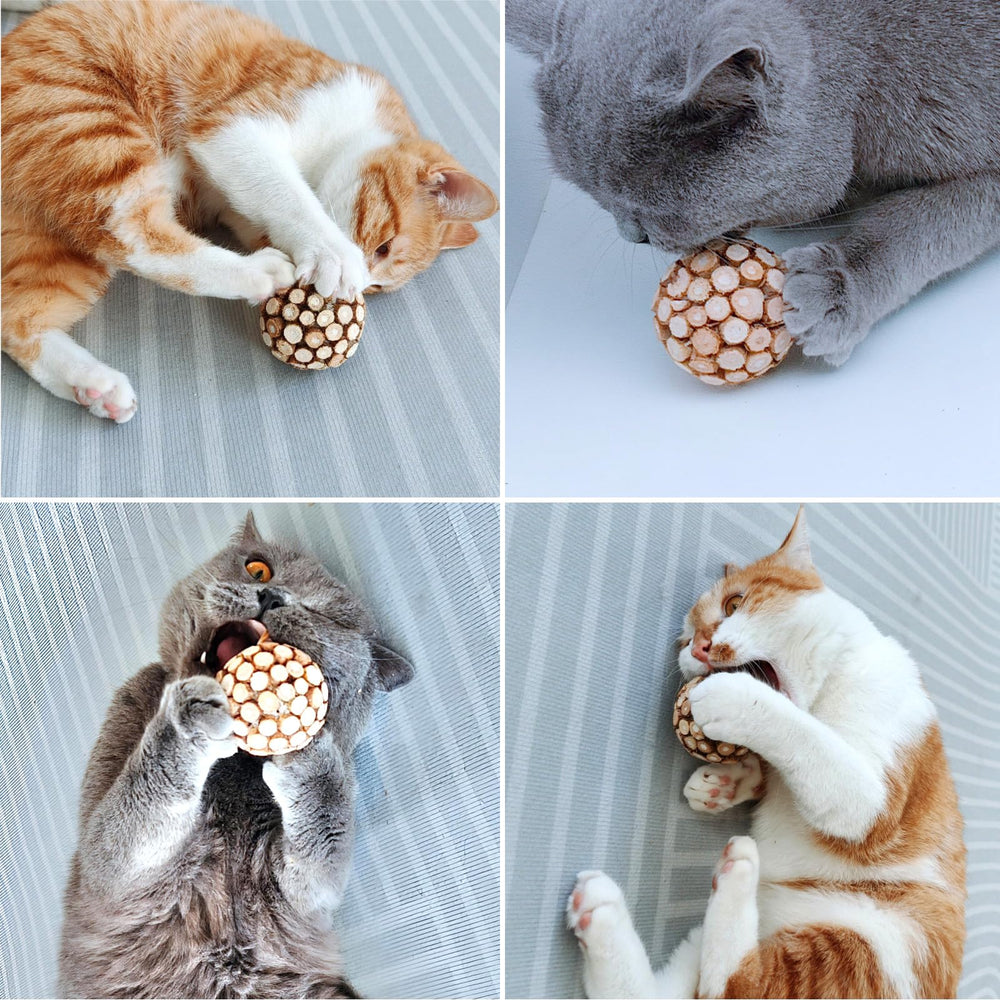 miwoowim cat ball toy pack in a three-pack for home entertainment