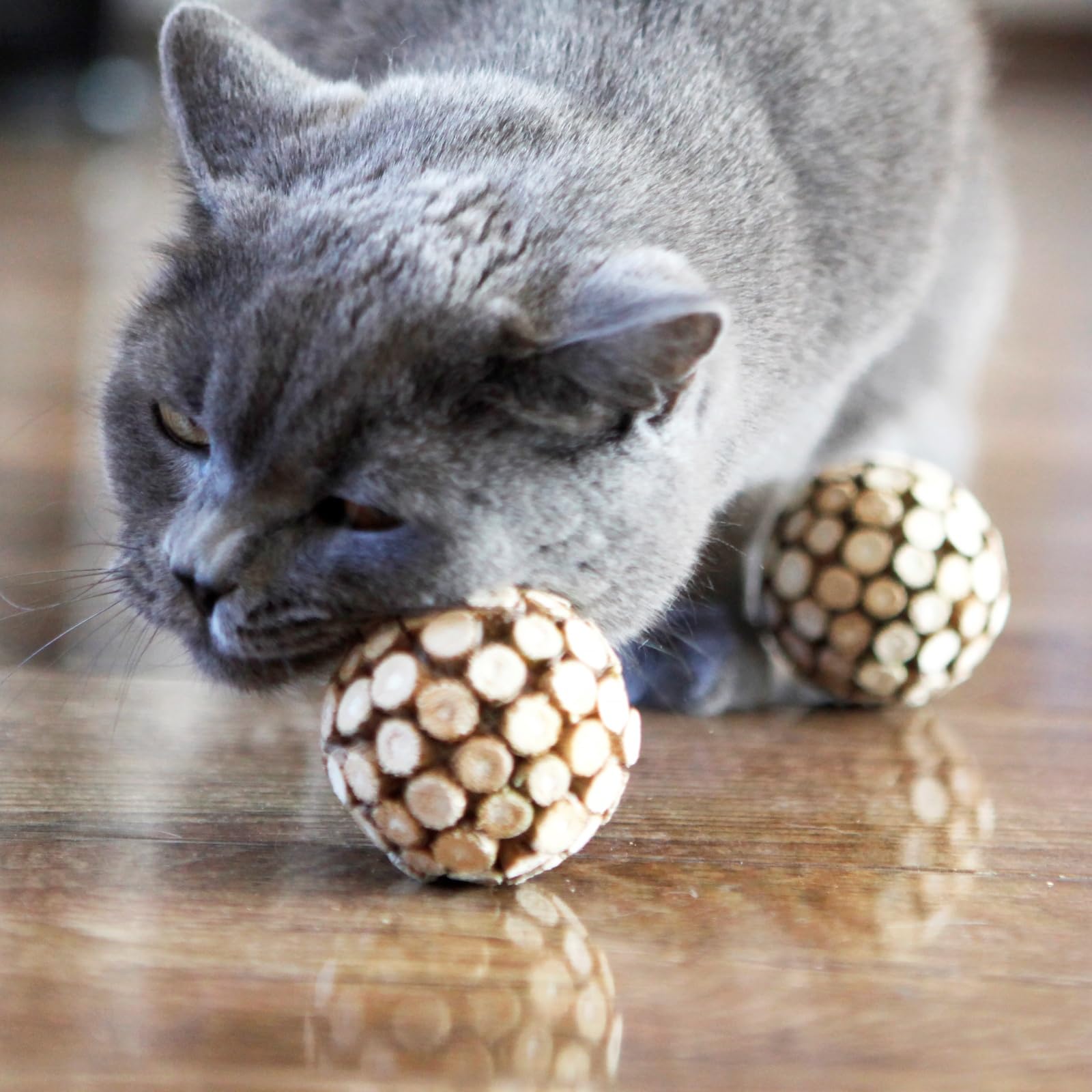 miwoowim cat ball toy encouraging activity and reducing indoor boredom