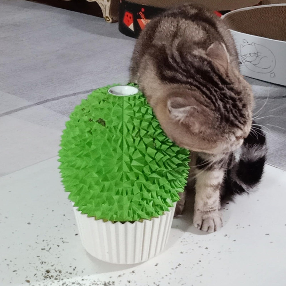 Durian-pot close-up showing durable, easy-clean design for cats