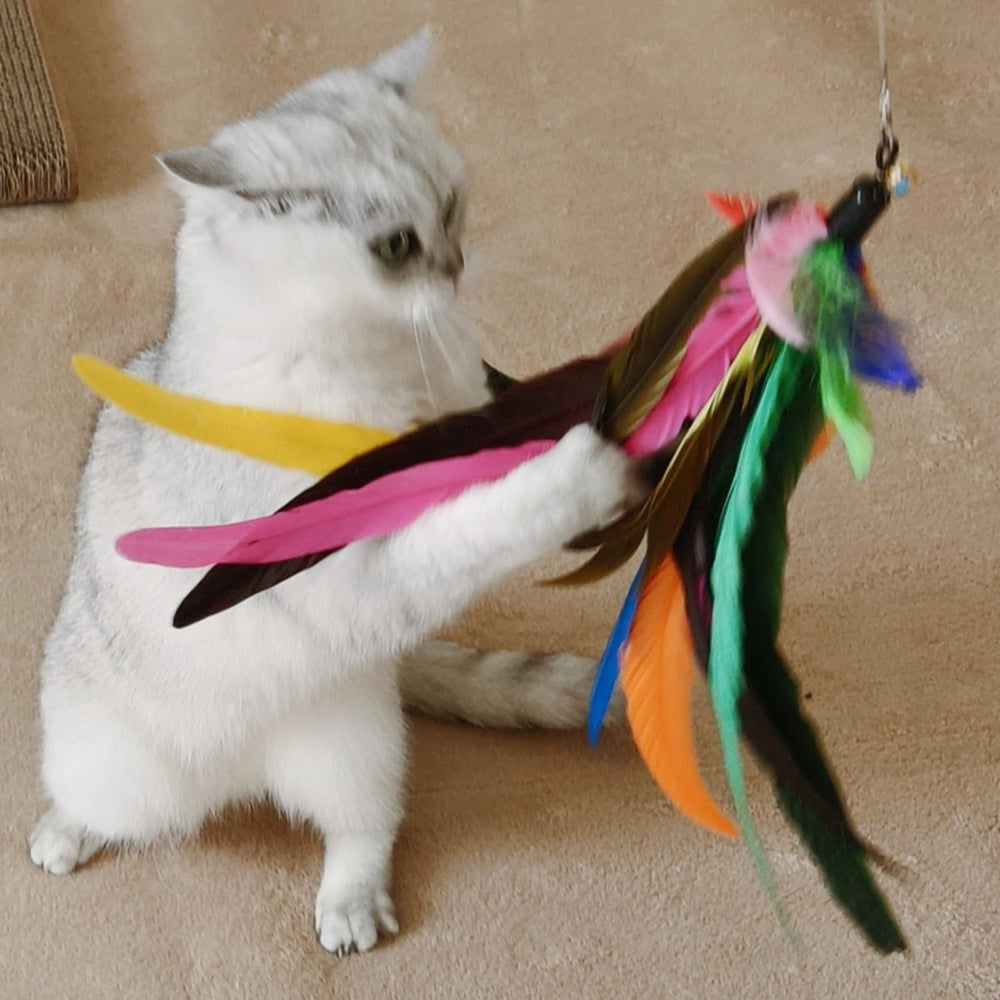 miwoowim feather refill 9pcs bundle adds varied textures and appeal