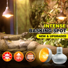 MIXJOY 100W reptile heat lamp bulb basking-spot highlight for healthy activity