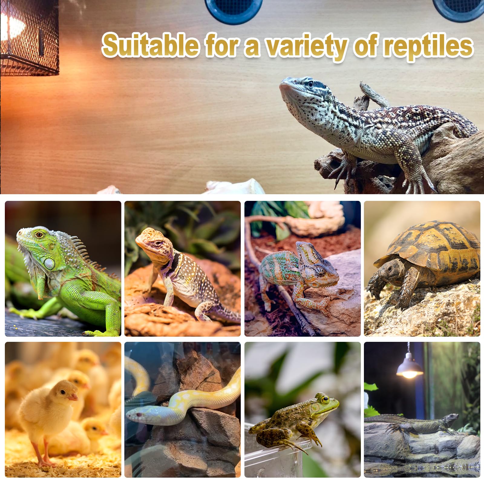 MIXJOY 120V E26 compatibility close-up highlights broad fixture compatibility for multiple reptile tanks