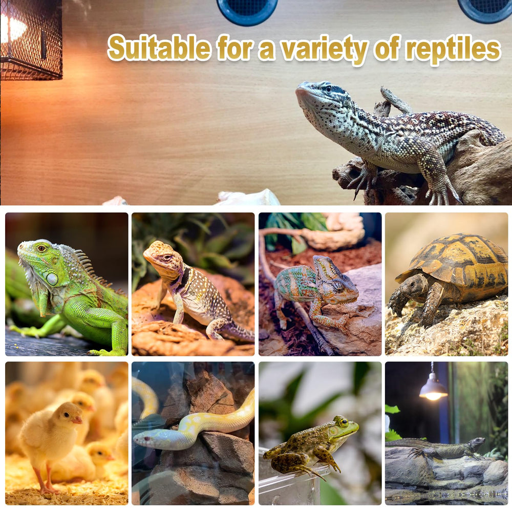 MIXJOY 120V E26 compatibility close-up highlights broad fixture compatibility for multiple reptile tanks