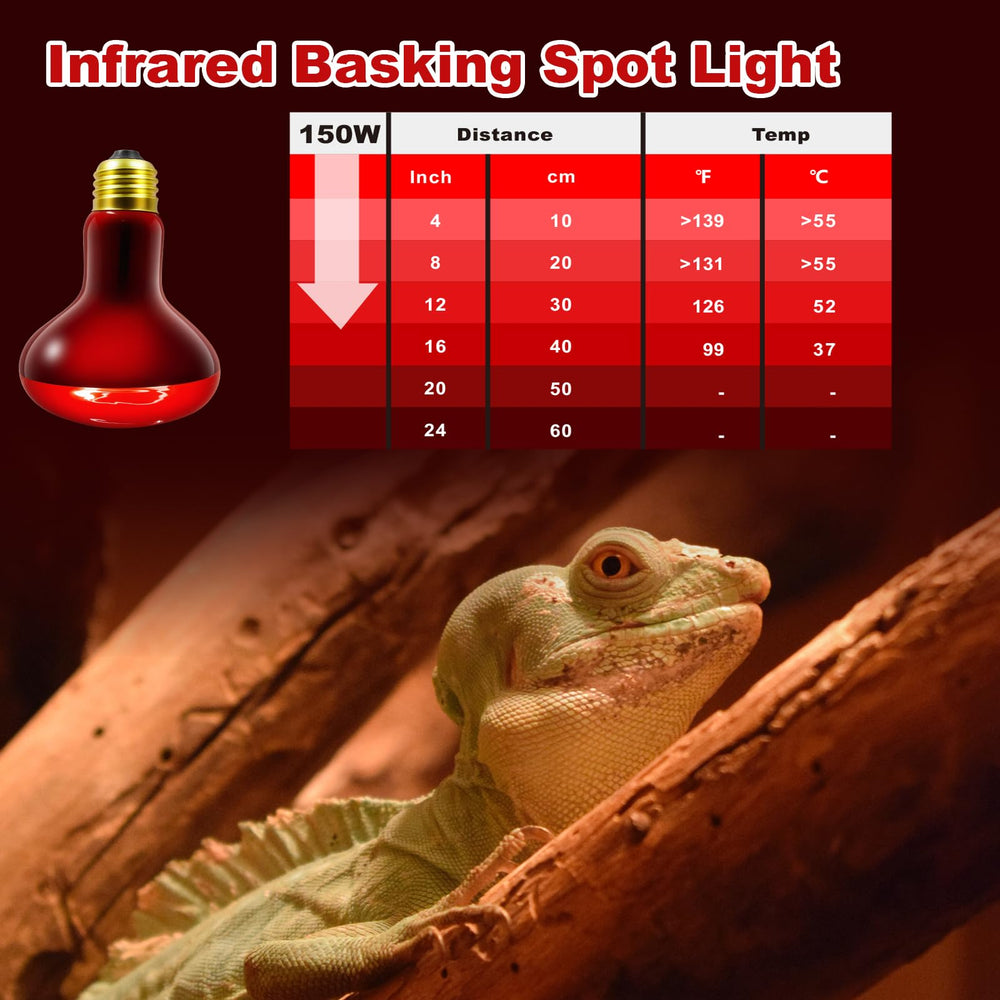 MIXJOY infrared heat lamp bulb in a chicken coop providing consistent warmth for poultry.