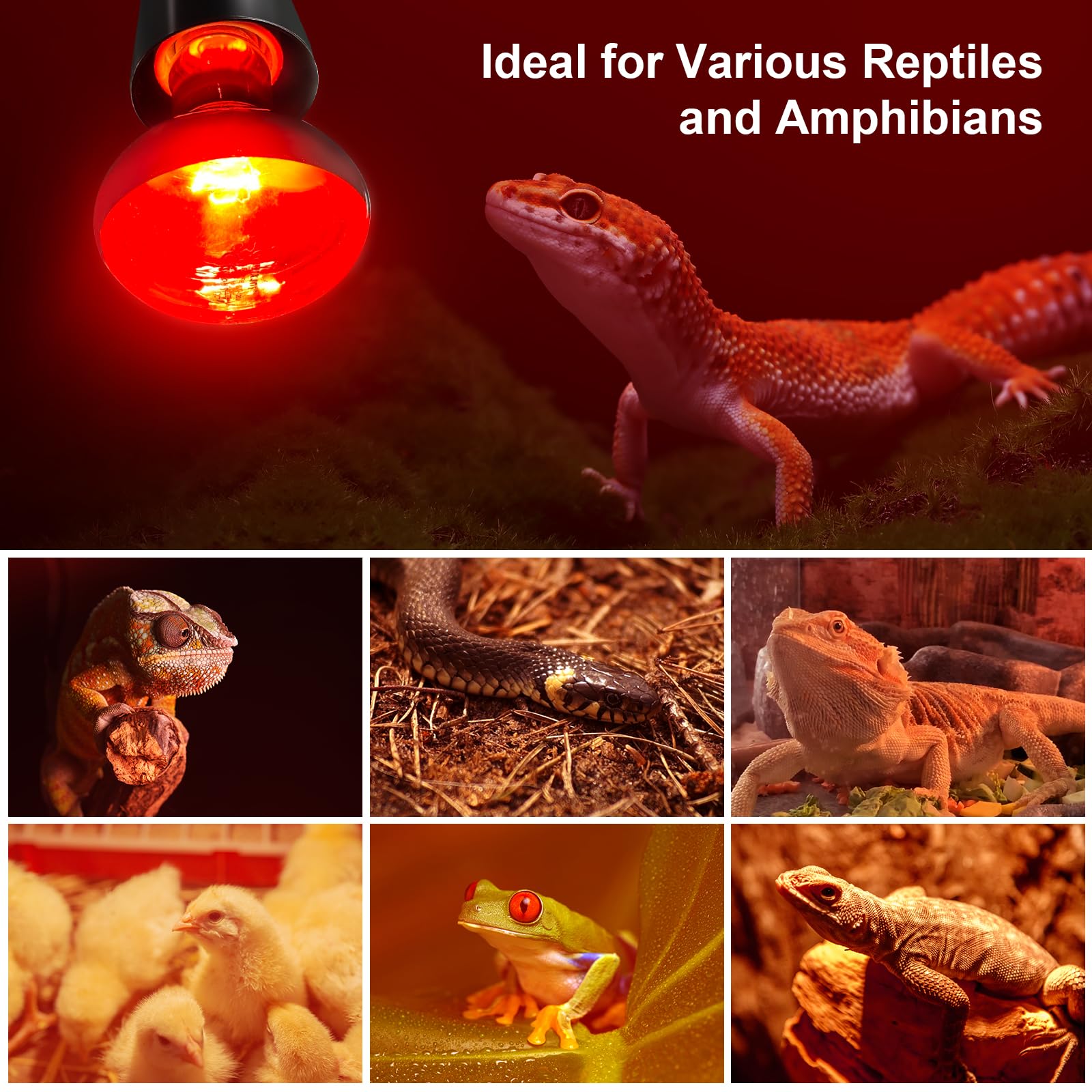 MIXJOY 150W infrared lamp with E26 base compatibility for easy replacement.