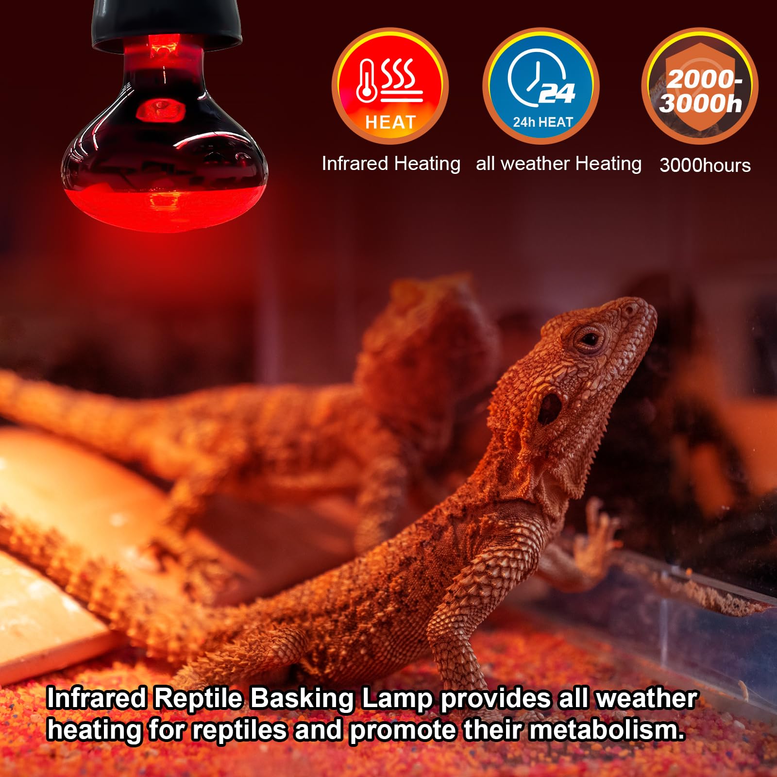 MIXJOY red-glass infrared lamp glows for gentle warmth in reptile habitats.