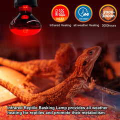 MIXJOY red-glass infrared lamp glows for gentle warmth in reptile habitats.