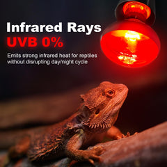 MIXJOY infrared heat lamp bulb in terrarium setup delivering reliable reptile warmth.
