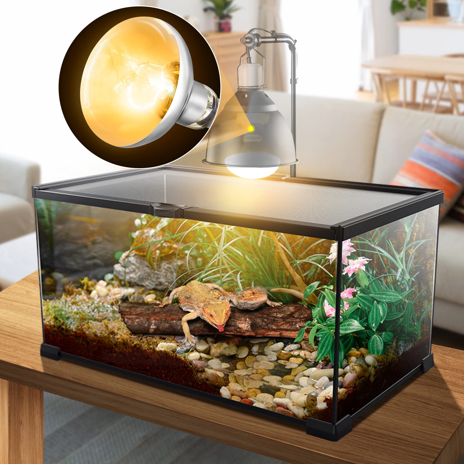MixJOY reptile lamp in use with bearded dragon basking spot.