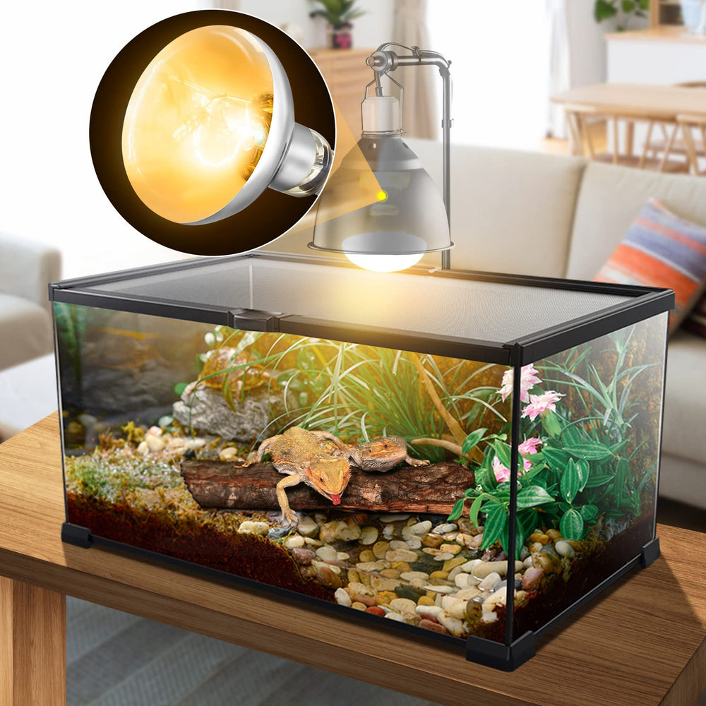 MixJOY reptile lamp in use with bearded dragon basking spot.
