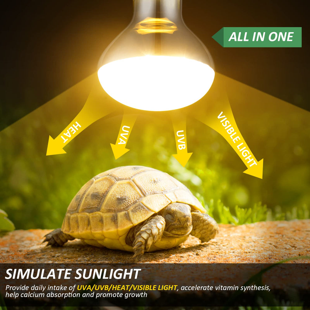 MixJOY 2 Pack 100W lamp in terrarium shows UVB/UVA glow and warm basking area.