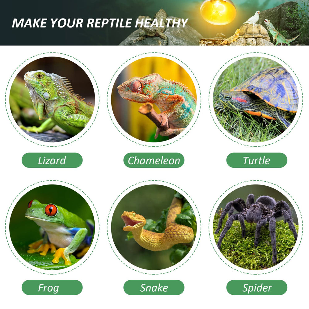 MixJOY heat lamp near terrarium demonstrates safe-distance setup.