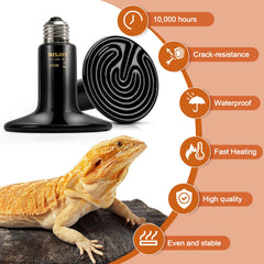MIXJOY heat emitter in terrarium demonstrates stable nighttime warmth