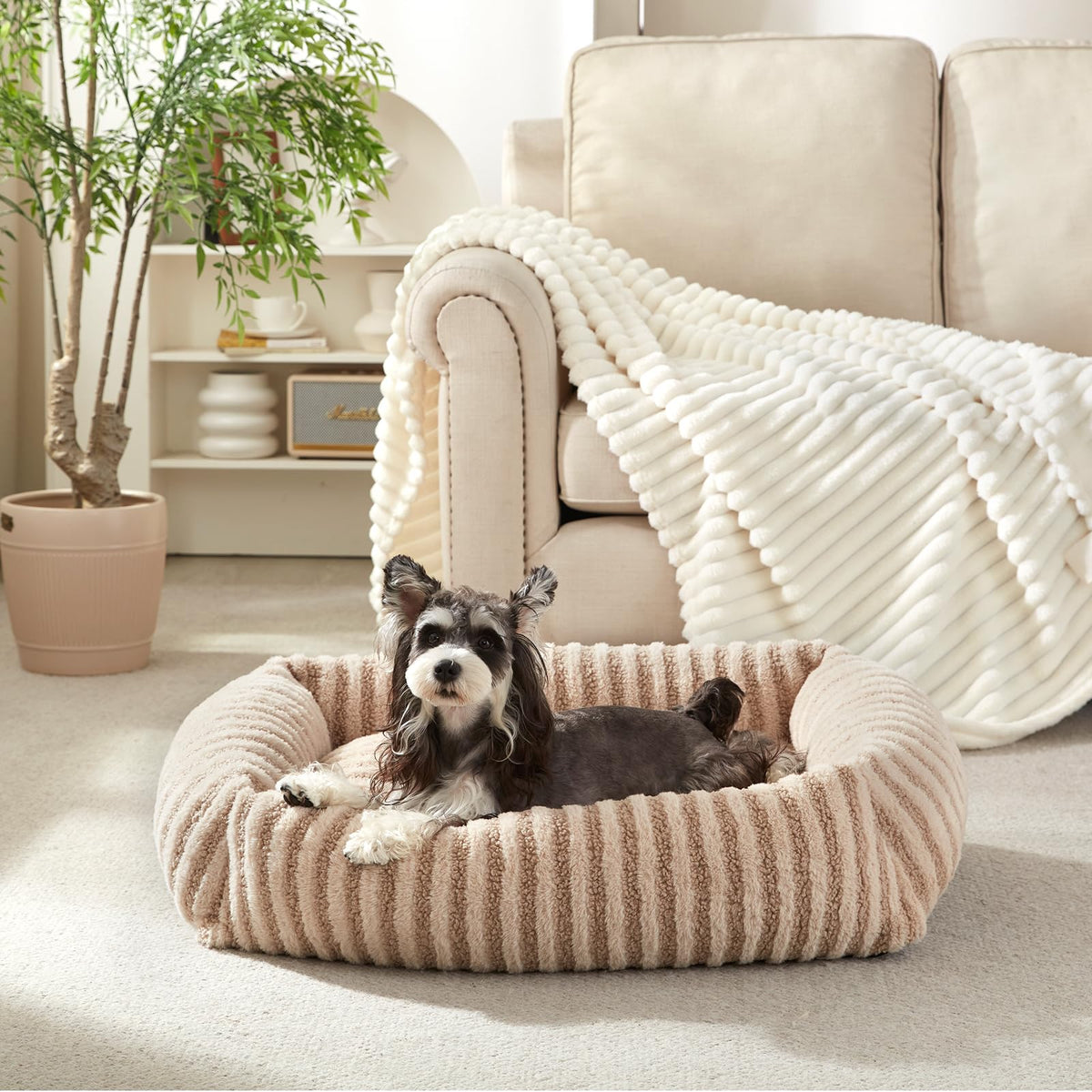 MIXJOY dog bed with removable cover in beige, easy cleaning and cozy naps.