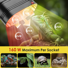 MIXJOY dual reptile light fixture heat-lamp setup image highlights safe, organized cord management.